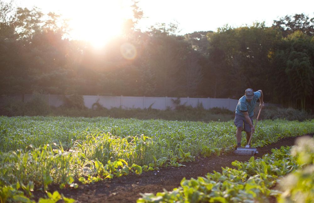 Topping Rose House Bridgehampton Ngoại thất bức ảnh